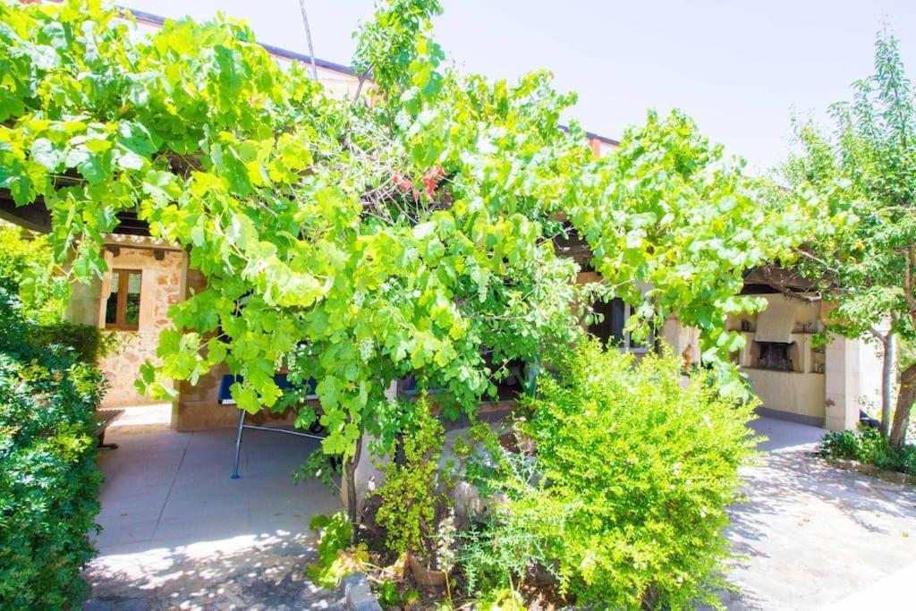 Holiday home Charming With A/c And Wifi Pollenca